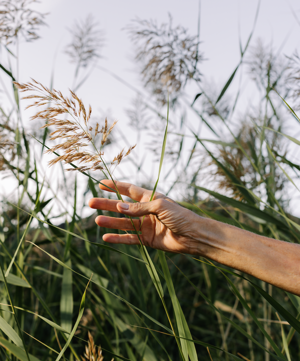IANA, le naturel au service de votre bien-être