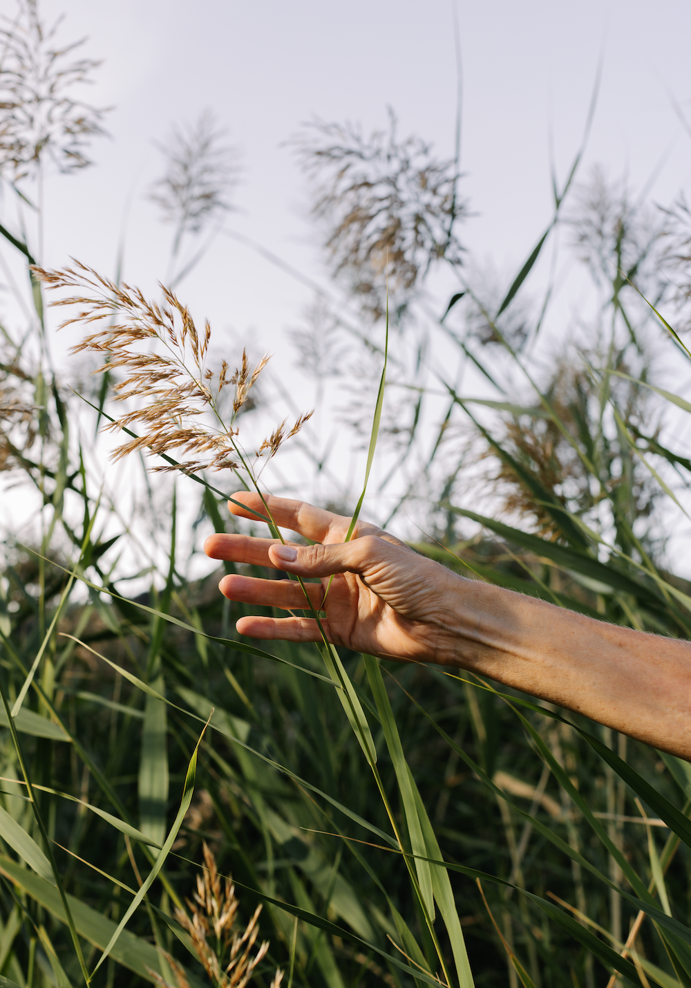 JOIN THE SMILING JOINTS !