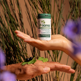 Santé Articulaire et Humeur Positive - Complément alimentaire