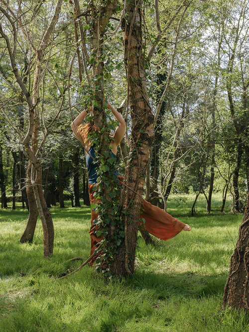 D'où vient le nom IANA ?