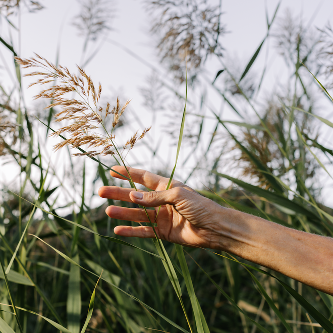 Découvrez notre communauté bienveillante