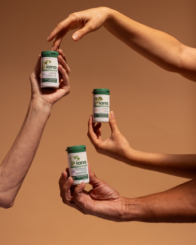 Découvrez toute la gamme