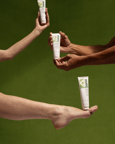 Découvrez toute la gamme