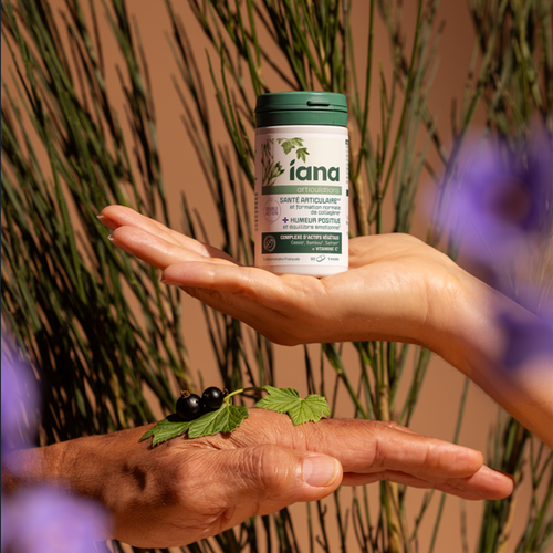 Santé Articulaire et Humeur Positive - Complément alimentaire